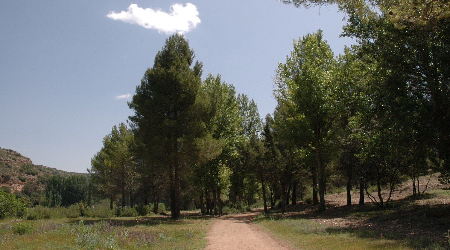 Casa Rural La Ossa Lagunas de Ruidera
